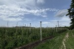 Der Neuenhof - Gewerbeobjekt Remagen | Angebot:24748296