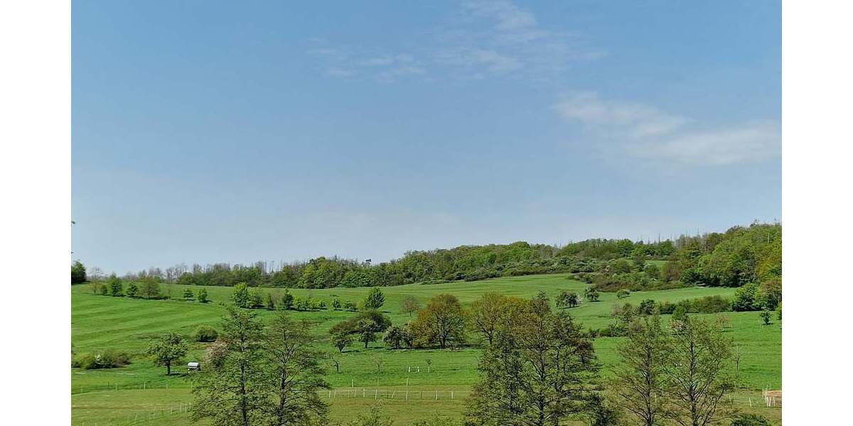 Ausblick von der Hausrückseite