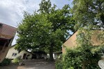 Der Neuenhof - Gewerbeobjekt Remagen | Angebot:24748296